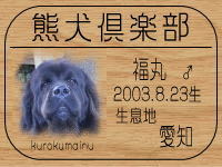 �I�[�i�[�́Anakaji-����ł���